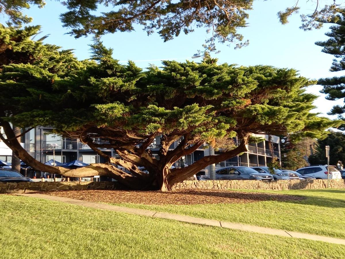 Apartments In Phillip Island Towers - Block C Cowes Bagian luar foto